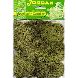 62 [ライケン ライトグリーン 50G]