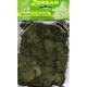 63 [ライケン ライトグリーン 50G]