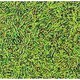 752A [パウダー 繊維タイプ グリーン（大）]