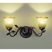 LEDブラケット 6W×2灯 非調光 電球色 DBK-38201Y