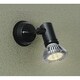 LED屋外スポットライト 非調光 ランプ別売 DOL-4375XB