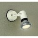 LED屋外スポットライト 非調光 ランプ別売 DOL-4375XW
