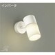 蛍光灯スポットライト 電球色 DSF-3748LW