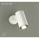 蛍光灯スポットライト 電球色 DSF-3673LW