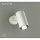 蛍光灯スポットライト 昼白色 DSF-3676NW