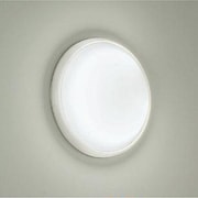 蛍光灯浴室灯 30W形 昼白色 60Hz(西日本地域対応) DWP-33296E