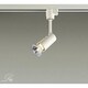 白熱灯スポットライト ランプ別売 DSL-2588XWE