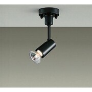白熱灯スポットライト ランプ別売 DSL-2589XB