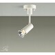 白熱灯スポットライト ランプ別売 DSL-2589XWE