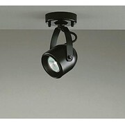 白熱灯スポットライト ランプ別売 DSL-1697XB