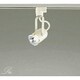 白熱灯スポットライト ランプ別売 DSP-33780E