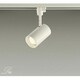 白熱灯スポットライト 50W形 DSL-2736YW