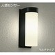 白熱灯屋外ブラケット 60W形 E17 DWP-35239