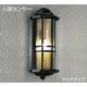 人感センサー付白熱灯屋外ブラケット 60W形 E17 マルチタイプ DWP-34386E