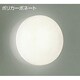 白熱灯浴室灯 60W形 E17 DWP-30969