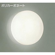 白熱灯浴室灯 60W形 E17 DWP-30969