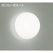 白熱灯浴室灯 60W形 E17 DWP-30965