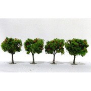 TR3591 [りんごの木　　5～7.5cm　4本入]