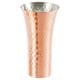 食楽工房 ビアカップ 380ml CNE-910