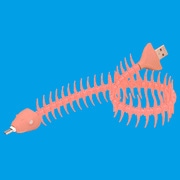 ピンク 魚コードUSBケーブル PK