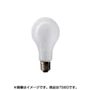 白熱電球 道路交通信号機用電球 E26口金 70W形 60mm径 TS60