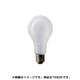 白熱電球 道路交通信号機用電球 E26口金 70W形 70mm径 TS60E