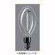高圧ナトリウム灯 ハイゴールド 透明形 E39口金 220形 NH220L