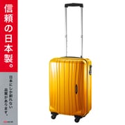 ProtecA(プロテカ) フラクティ 旅行日数目安:1~2泊 31L TSAロック搭載 機内持ち込み可 オレンジ ACE-2141OR