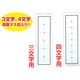 下敷き 八ッ切判 罫線入(名前欄無)