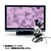 顕微鏡テレビスコープ 009961