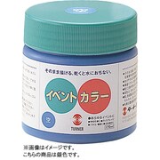 イベント用 絵の具 ターナー イベントカラー 170ml 銀
