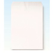 画用紙持ち帰り封筒 011149