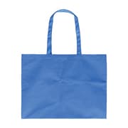 作品収納バック大不織布 青 011311