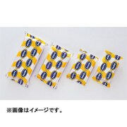 フォスター 500g ヘラ付 023211