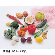 ファンシークレイ 023400