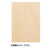 パネル 木炭紙判