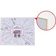 652×530×3.5mm 寄せ書き用特大色紙 F15 1枚