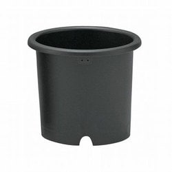 菊鉢5号 ブラック