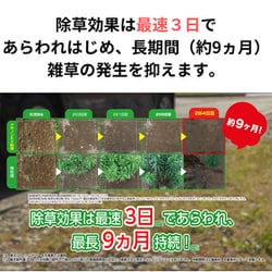 ヨドバシ.com - 住友化学園芸 クサノンEX粒剤 800g [除草剤] 通販【全品無料配達】