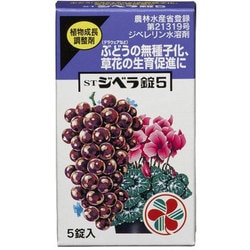 STジベラ錠5