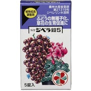 STジベラ錠5