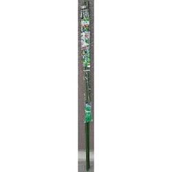 緑のカーテン 3m 伸縮ワイド 800