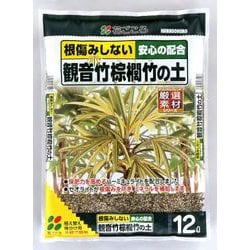 12L 観音竹・棕櫚竹の土