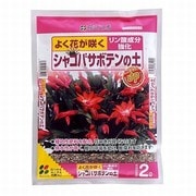 2L シャコバサボテンの土