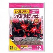 12L シャコバサボテンの土