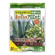 2L 金のなる木アロエの土