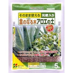 5L 金のなる木アロエの土
