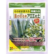5L 金のなる木アロエの土