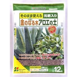 12L 金のなる木アロエの土