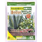 12L 金のなる木アロエの土